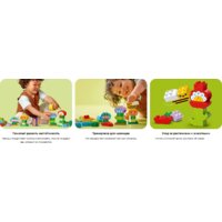 Конструктор LEGO Duplo Креативный цветочный сад 10444 - Превью изображения №12 — Интернет-магазин Time-Shop