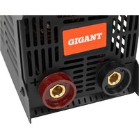 Сварочный инвертор Gigant GWM-160AS - Превью изображения №10 — Интернет-магазин Time-Shop