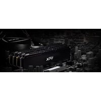 Оперативная память ADATA XPG GAMMIX D20 2x16GB DDR4 PC4-25600 AX4U320016G16A-DCBK20 - Превью изображения №4 — Интернет-магазин Time-Shop