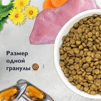 Сухой корм для кошек Brit care Superpremium Sensitive с индейкой и ягненком (чувствительное пищеварение) 7 кг - Превью изображения №10 — Интернет-магазин Time-Shop