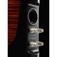 Полочная акустика DALI Epicon 2 - Превью изображения №8 — Интернет-магазин Time-Shop