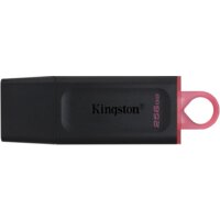 Kingston DataTraveler Exodia 256GB