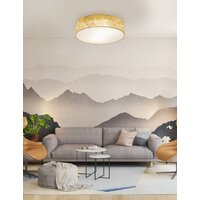 Припотолочная люстра Eglo Viserbella 97641 - Превью изображения №3 — Интернет-магазин Time-Shop