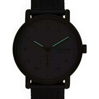 Наручные часы Skagen SKW3101 - Превью изображения №3 — Интернет-магазин Time-Shop
