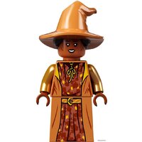 Конструктор LEGO Harry Potter 76389 Хогвартс: Тайная комната - Превью изображения №12 — Интернет-магазин Time-Shop