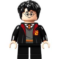 Конструктор LEGO Harry Potter 76389 Хогвартс: Тайная комната - Превью изображения №14 — Интернет-магазин Time-Shop