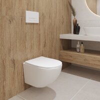 Унитаз подвесной Lauter Sulzdorf + GROHE Rapid SL 38772001 + панель GROHE 37131000 (белый с микролифтом) - Превью изображения №15 — Интернет-магазин Time-Shop