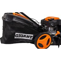 Газонокосилка Gigant PLM-04 - Превью изображения №20 — Интернет-магазин Time-Shop