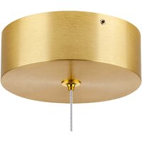 Подвесная люстра Lightstar Colore 805403 - Превью изображения №2 — Интернет-магазин Time-Shop