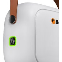 Пароочиститель Bort BDR-3000-RR - Превью изображения №2 — Интернет-магазин Time-Shop