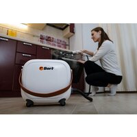 Пароочиститель Bort BDR-3000-RR - Превью изображения №18 — Интернет-магазин Time-Shop