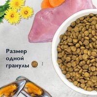 Сухой корм для кошек Brit Care Superpremium Anti-Hairball с белой рыбой и индейкой (вывод шерсти) 7 кг - Превью изображения №10 — Интернет-магазин Time-Shop