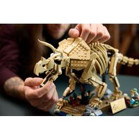 Конструктор LEGO Jurassic World 77985 Окаменелости динозавров: Трицератопс - Превью изображения №12 — Интернет-магазин Time-Shop