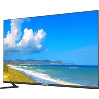 Телевизор Polarline 55PU52TC-SM - Превью изображения №2 — Интернет-магазин Time-Shop
