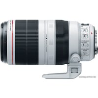 Объектив Canon EF 100-400mm f/4.5-5.6L IS II USM - Превью изображения №2 — Интернет-магазин Time-Shop