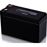 Аккумулятор для ИБП IPPON IPL12-7 (12В/7 А·ч) - Превью изображения №2 — Интернет-магазин Time-Shop