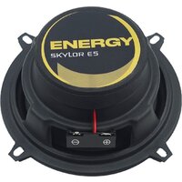 Коаксиальная АС Skylor E5 - Превью изображения №4 — Интернет-магазин Time-Shop