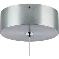 Подвесная люстра Lightstar Colore 805405 - Превью изображения №2 — Интернет-магазин Time-Shop