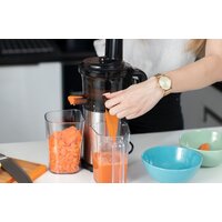 Соковыжималка Teesa TSA3228 - Превью изображения №5 — Интернет-магазин Time-Shop