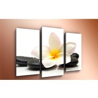 Arthata m-000120 120x80