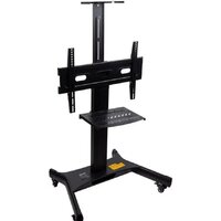 Arm Media PT-STAND-11