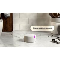 Умная колонка Яндекс Станция Мини (белый) + 3 игрушки Холодное сердце - Превью изображения №13 — Интернет-магазин Time-Shop