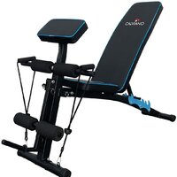 Calviano 1003 (черный/синий)