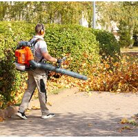 Ранцевая воздуходувка Daewoo Power DABL 760 - Превью изображения №18 — Интернет-магазин Time-Shop