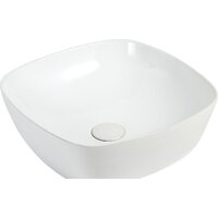 Allen Brau Priority 4.31001.20 (без перелива)