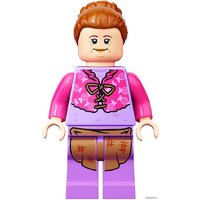 Конструктор LEGO Harry Potter 76388 Визит в деревню Хогсмид - Превью изображения №19 — Интернет-магазин Time-Shop