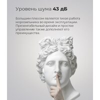 Морозильник MAUNFELD MFFR170SB - Превью изображения №16 — Интернет-магазин Time-Shop