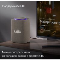 Умная колонка Яндекс Станция Макс (с хабом умного дома Zigbee, бежевый) - Превью изображения №5 — Интернет-магазин Time-Shop