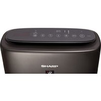 Климатический комплекс Sharp KIN-41RH - Превью изображения №4 — Интернет-магазин Time-Shop