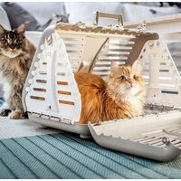 Переноска Rotho Toby 4000807422 - Превью изображения №2 — Интернет-магазин Time-Shop