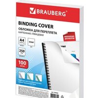 BRAUBERG A4 250 г/м2 100 шт 530840 (белый)