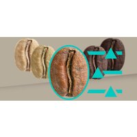 Кофемашина Siemens EQ900 TQ903RZ3 - Превью изображения №11 — Интернет-магазин Time-Shop