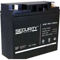 Security Force SF 1217 (12В/17 А·ч)