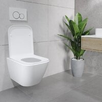 Унитаз подвесной Lauter Nuremberg 21811 + 21901002 (белый, с кнопкой смыва 219702J белый) - Превью изображения №20 — Интернет-магазин Time-Shop