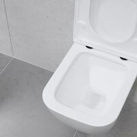 Унитаз подвесной Lauter Nuremberg 21811 + 21901002 (белый, с кнопкой смыва 219702J белый) - Превью изображения №14 — Интернет-магазин Time-Shop