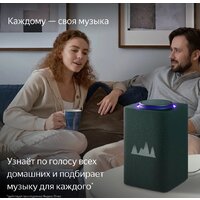 Умная колонка Яндекс Станция Макс (с хабом умного дома Zigbee, зеленый) - Превью изображения №8 — Интернет-магазин Time-Shop