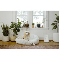 Очиститель воздуха Karcher AF 20 1.024-820.0 - Превью изображения №6 — Интернет-магазин Time-Shop