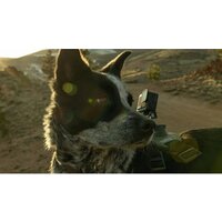 Экшен-камера GoPro HERO Compact 4K - Превью изображения №10 — Интернет-магазин Time-Shop