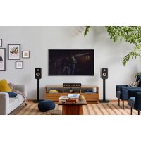 Полочная акустика Polk Audio Signature Elite ES20 (чёрный) - Превью изображения №9 — Интернет-магазин Time-Shop