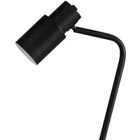 Торшер Kinklight Олси 07046.19 - Превью изображения №2 — Интернет-магазин Time-Shop