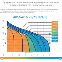 Насосная станция Джилекс Джамбо 70/50 Ч-24 - Превью изображения №2 — Интернет-магазин Time-Shop