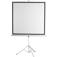 Проекционный экран Digis Kontur-D 186x189 DSKD-1105 - Превью изображения №2 — Интернет-магазин Time-Shop