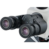 Микроскоп Levenhuk MED 45T тринокулярный 74009 - Превью изображения №5 — Интернет-магазин Time-Shop