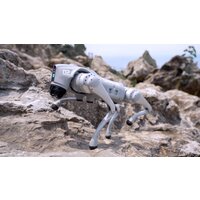 Умный робот-друг Unitree Go2 Air - Превью изображения №23 — Интернет-магазин Time-Shop