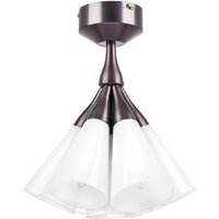 Lightstar Cone 757070