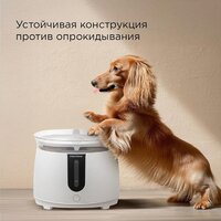 Поилка Redmond (Редмонд) PC5400S - Превью изображения №8 — Интернет-магазин Time-Shop